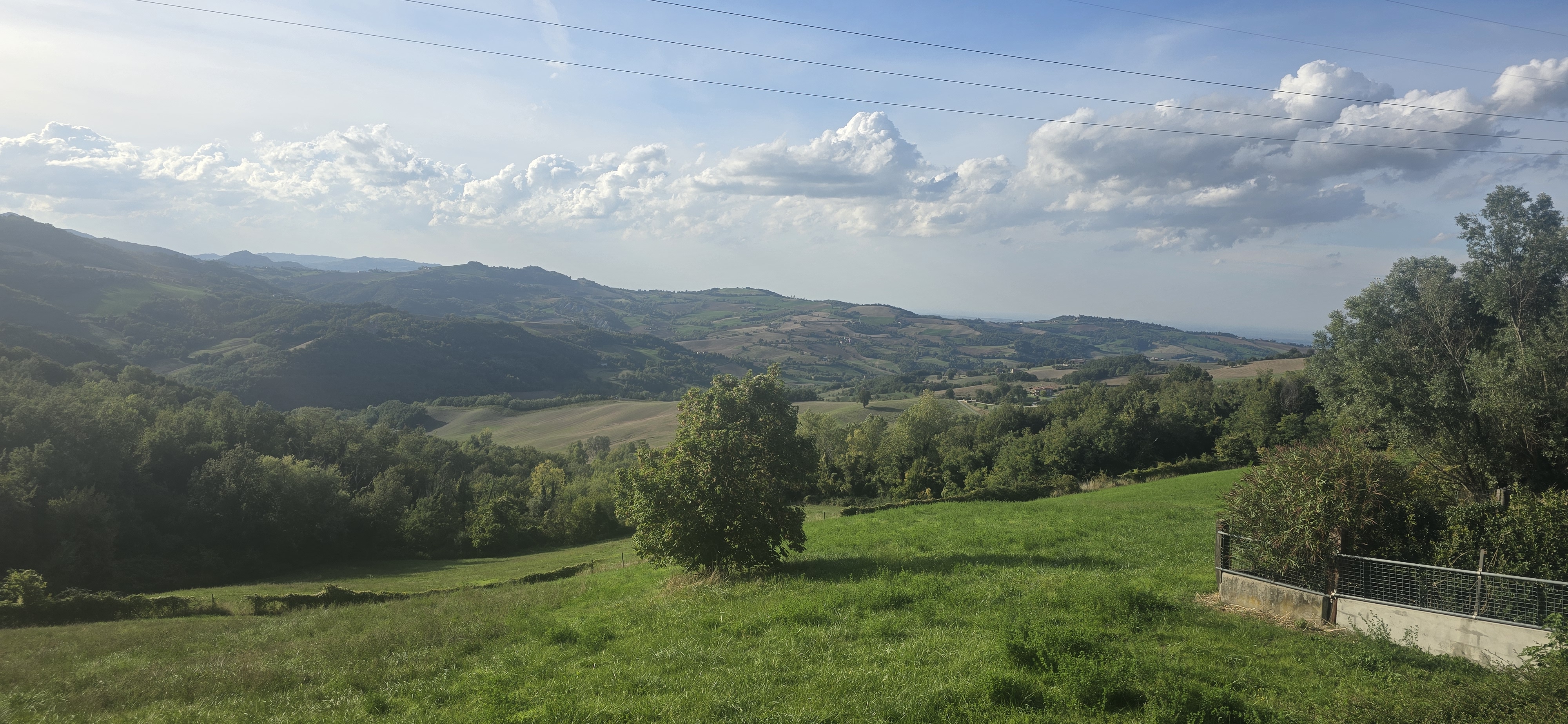 Pensione Dall'Ape alla Zebra - Vista principale
